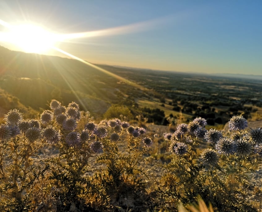 Atardece en Monegros