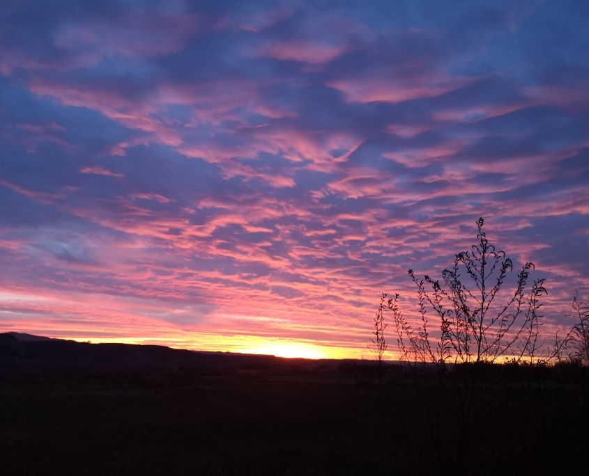 Atardecer cerca de Sariñena 