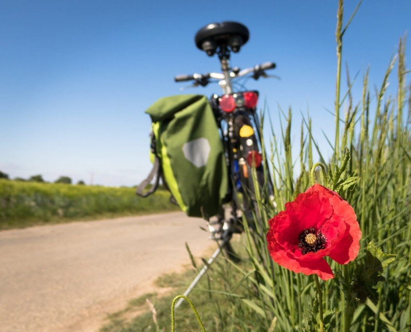 rutas bici en familia por monegros